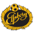 埃尔夫斯堡U21